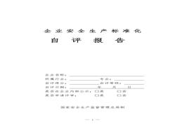 冶金工貿(mào)企業(yè)安全生產(chǎn)標(biāo)準(zhǔn)化自評報告（13要素）(1)doc