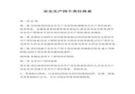 XX公司安全生產(chǎn)四個責任體系docx