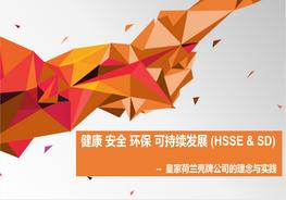 H20210330殼牌公司HSE管理體系的精華pptx