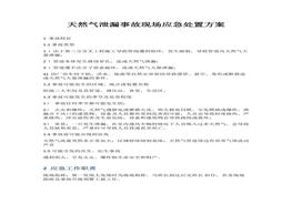 應(yīng)急處置方案(1)docx