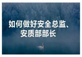 全力做好安全總監(jiān)、安質(zhì)部部長(zhǎng)pptx