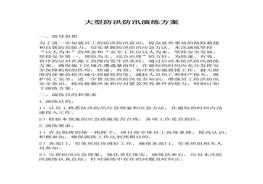 大型防洪防汛演練方案（16頁）(1)docx