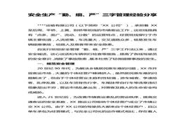 安全生產“勤、細、嚴”三字管理經驗分享docx