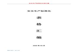 安全生產(chǎn)標(biāo)準(zhǔn)化表格匯編doc