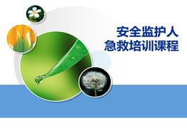 作業(yè)監(jiān)護(hù)人急救培訓(xùn)講課版ppt