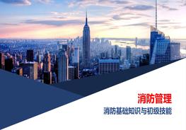 礎(chǔ)知識與初級技能通用版pptx