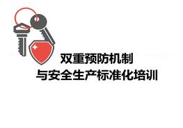 雙重預(yù)防機制和生產(chǎn)標準化pptx
