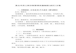 某公司員工積分制管理實施細則(試行)方案（14頁）docx