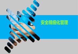 安全精細(xì)化管理pptx