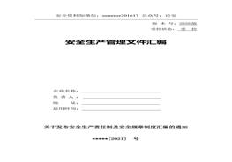 2021版安全生產(chǎn)責(zé)任制及安全規(guī)章制度匯編（164頁）doc