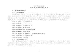 公司安全生產(chǎn)風(fēng)險(xiǎn)評估報(bào)告（17頁）docx