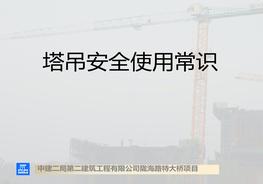 塔吊使用及安全常識pptx
