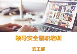 H20210727領(lǐng)導(dǎo)安全履職培訓(xùn)材料ppt