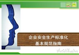 企業(yè)安全生產(chǎn)標(biāo)準(zhǔn)化基本規(guī)范pptx