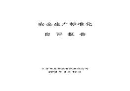 藥業(yè)公司安全生產(chǎn)標準化自評報告（參考）doc