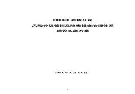 G20201021雙體系建設(shè)工作方案docx