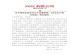 建筑企業(yè)各類安全生產(chǎn)規(guī)章制度docx