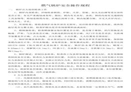 燃?xì)忮仩t安全操作規(guī)程(1)doc