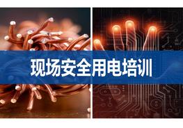 現(xiàn)場(chǎng)安全用電培訓(xùn)（48頁）ppt