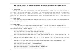 XX有限公司風險管控與隱患排查治理動態(tài)評估報告(1)doc