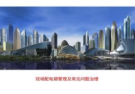 配電箱常見問題治理（47頁）pptx