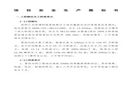 項(xiàng)目安全生產(chǎn)策劃書(shū)docx