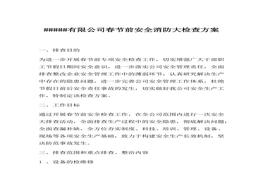 消防大檢查方案(1)docx