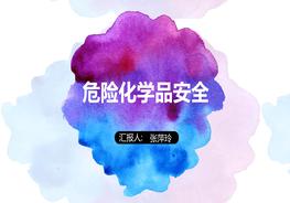 實(shí)驗(yàn)室安全培訓(xùn)-危險(xiǎn)化學(xué)品pptx