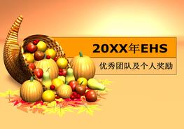 EHS獎勵ppt