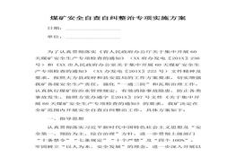 治專項(xiàng)實(shí)施方案（10頁）(1)docx