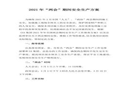 2021某企業(yè)“兩會”期間安全生產(chǎn)方案（7頁）(1)docx