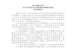 準(zhǔn)化績(jī)效評(píng)定報(bào)告doc