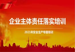 企業(yè)主要負責人法律法規(guī)及主體責任培訓(xùn)pptx