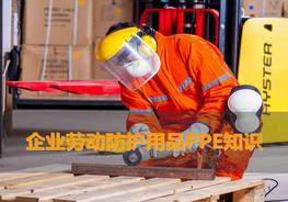 企業(yè)勞動防護用品PPE知識ppt