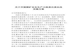 自檢自改實(shí)施方案（8頁）(1)docx