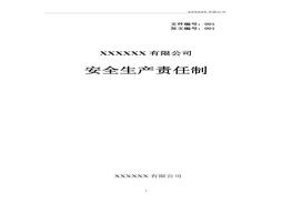 公司各崗位安全生產(chǎn)責任制（41頁）doc