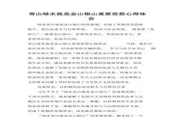 青山綠水就是金山銀山重要思想心得體會(huì)docx