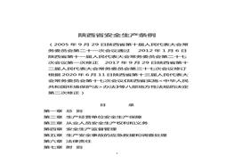 陜西省安全生產(chǎn)條例docx