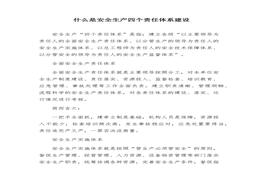什么是安全生產(chǎn)四個責(zé)任體系建設(shè)docx