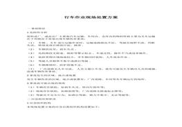 行車作業(yè)現(xiàn)場處置方案docx
