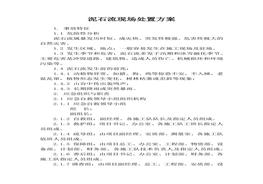 泥石流現(xiàn)場處置方案(1)docx