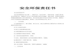 安全環(huán)保責(zé)任書docx