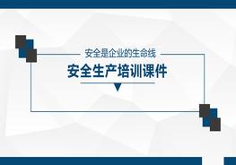 年初主題培訓(xùn)：安全是企業(yè)的生命線pptx
