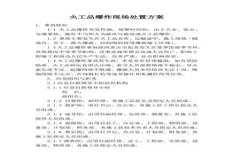 火工品爆炸現(xiàn)場處置方案(1)docx