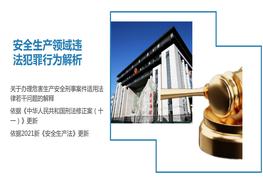 安全生產(chǎn)領(lǐng)域違法犯罪解析ppt