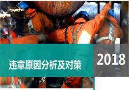 K20220321違章操作原因分析及對策pptx