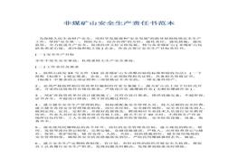 非煤礦山安全生產(chǎn)責(zé)任書范本docx