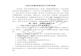 年度安全生產(chǎn)工作總結(jié)范本 doc