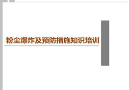 粉塵爆炸及預(yù)防措施pptx