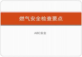 燃?xì)獍踩珯z查要點pptx